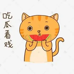 红毯撞衫事件